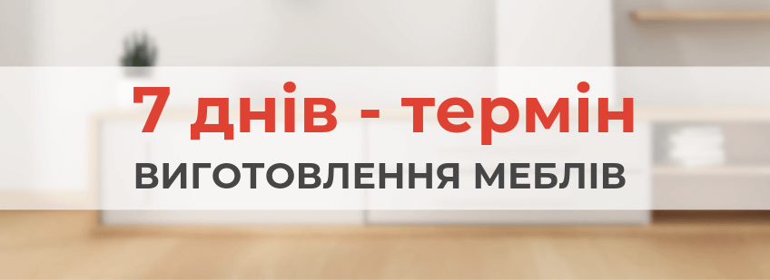 Термін виготовлення